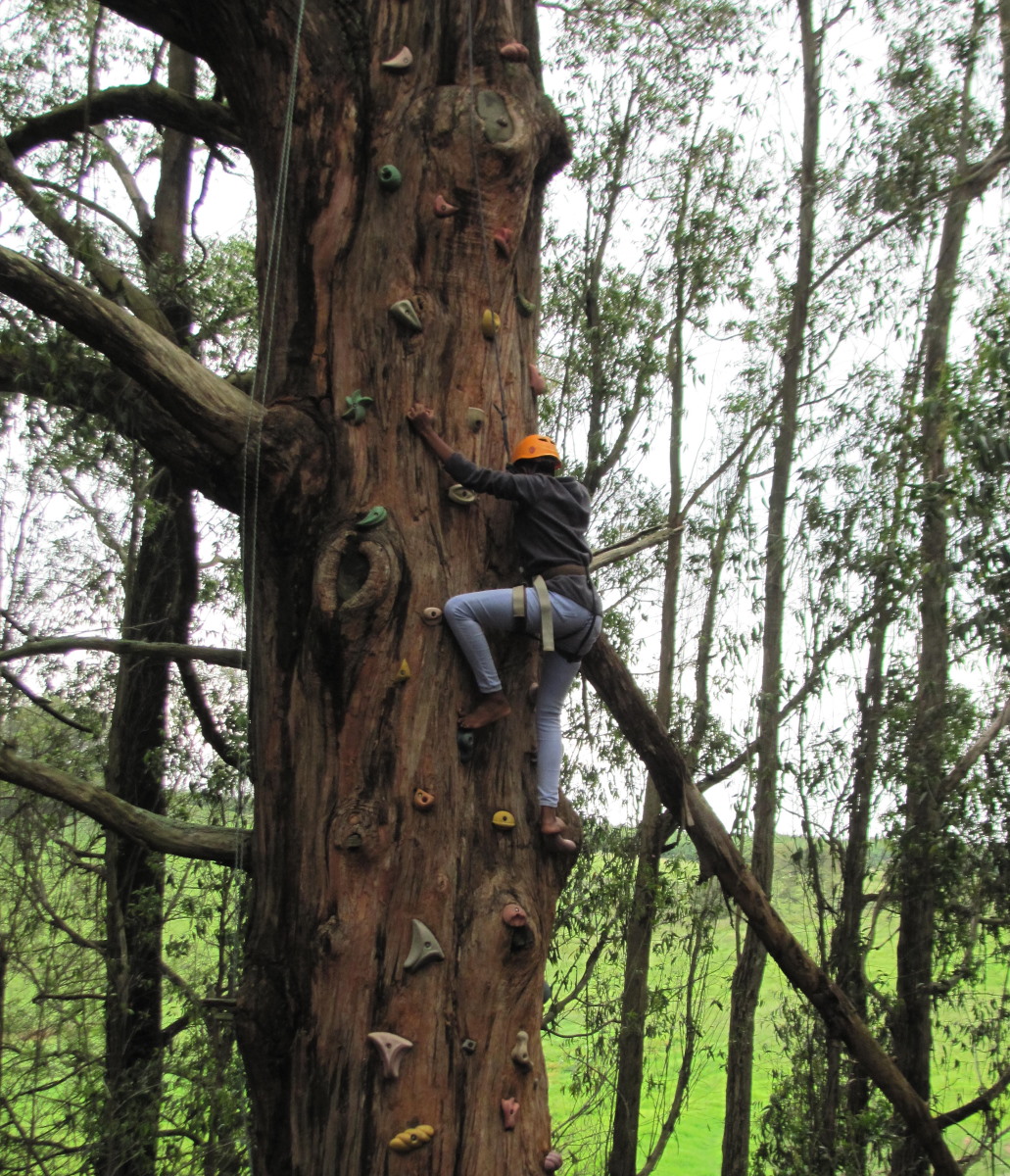 High ropes