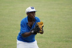 cricket005.jpg