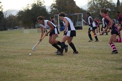 hockey020.jpg