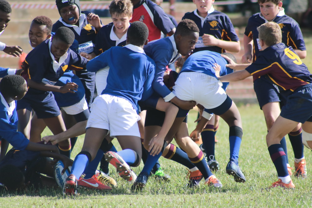u14 Rugby
