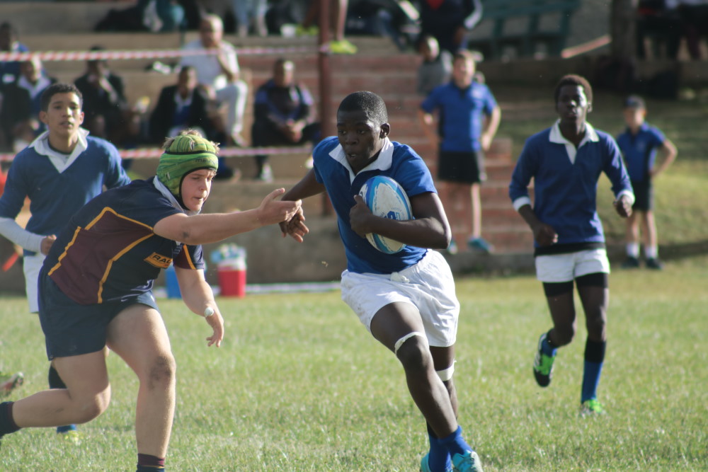 u16 Rugby